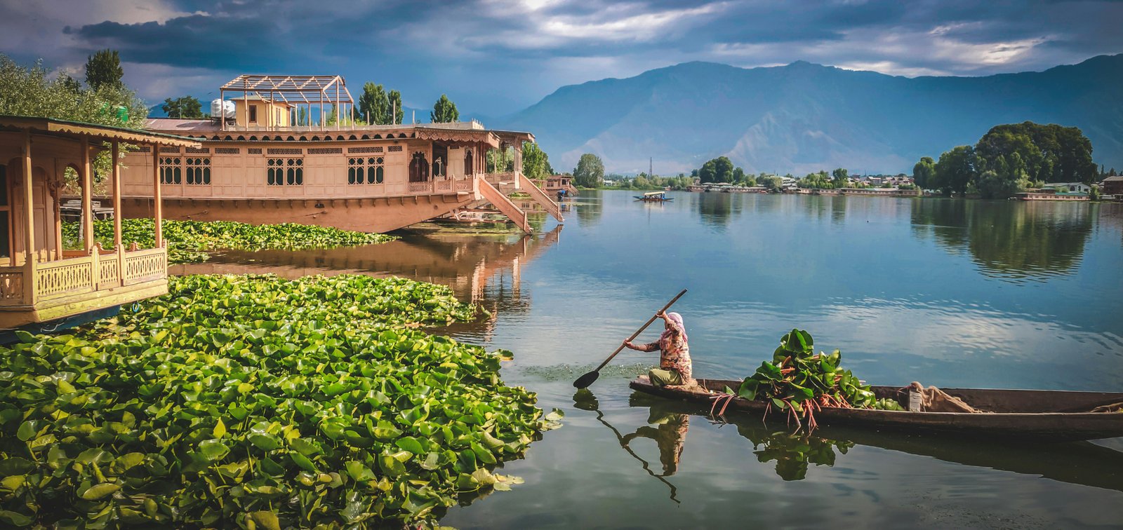 kashmir