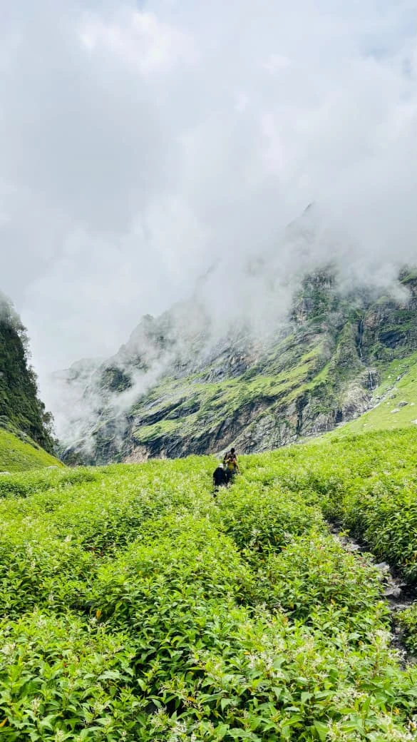 hampta-pass-trek
