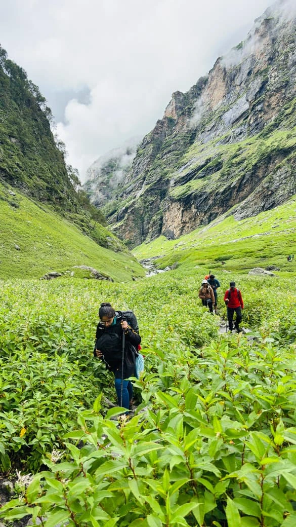 hampta-pass-trek