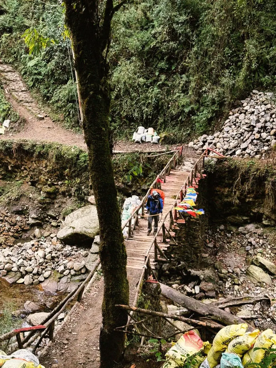 sandakphu-trek